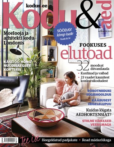 Kodu&Aed november 2020.