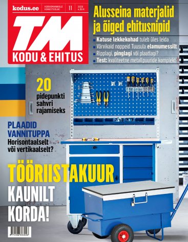 TM Kodu&Ehitus november 2020