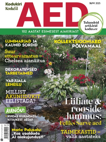 Aed suvi 2025.